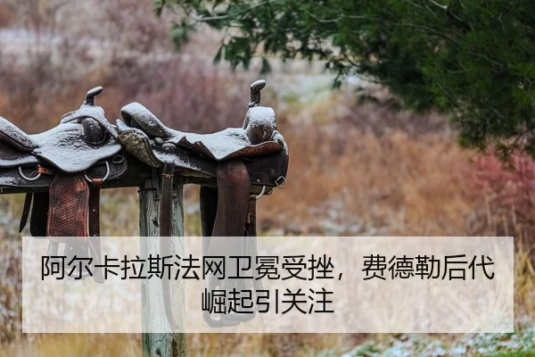 a-er-ka-la-si-fa-wang-wei-mian-shou-cuo-fei-de-lei-hou-dai-jue-qi-yin-guan-zhu-2-631.jpg