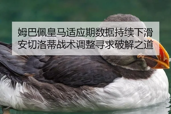 mu-ba-pei-huang-ma-shi-ying-qi-shu-ju-chi-xu-xia-hua-an-qie-luo-di-zhan-shu-tiao-zheng-xun-qiu-po-jie-zhi-dao-3-284.jpg